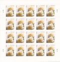 2011 USPS SHEET OF 20 FIRST CLASS LETTER STAMPS WEDDING ROSES 78¢