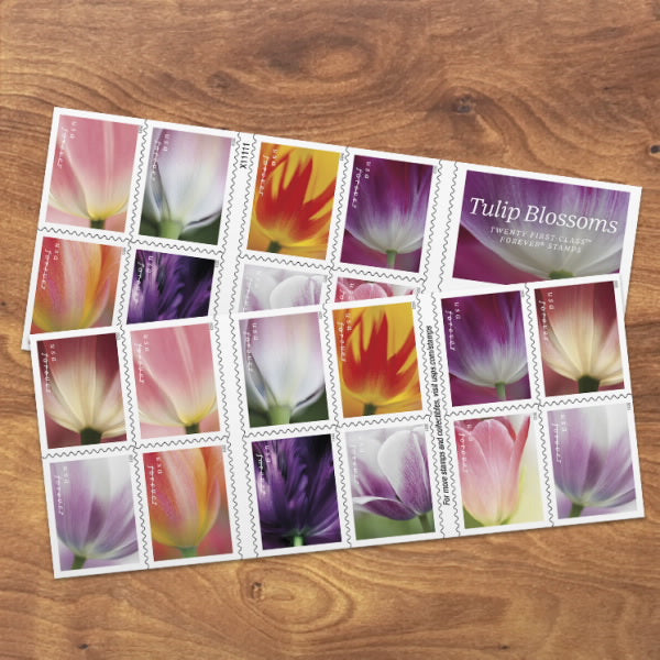 2023 USPS SHEET OF 20 FIRST CLASS LETTER STAMPS TULIP BLOSSOMS 78¢