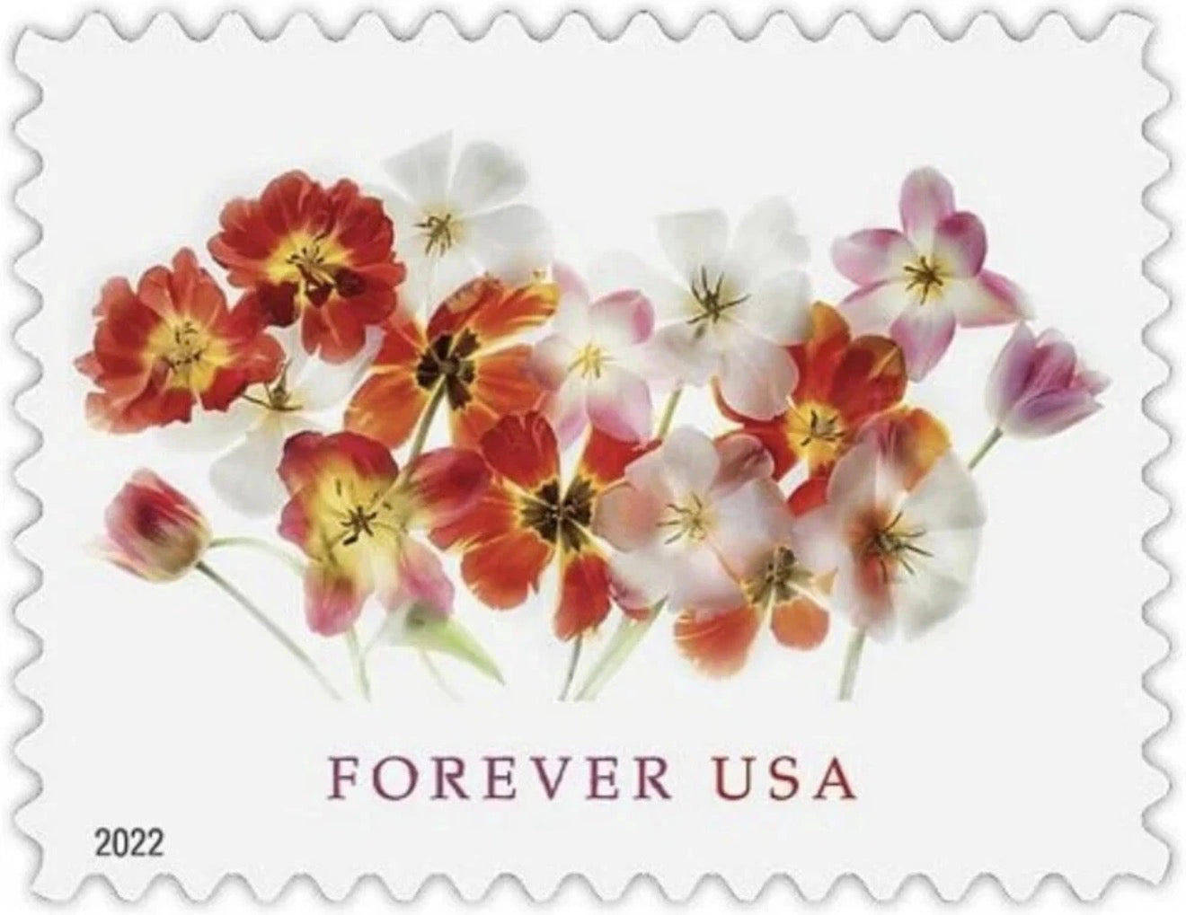 2021 USPS SHEET OF 20 FIRST CLASS LETTER STAMPS WEDDING TULIPS 78¢