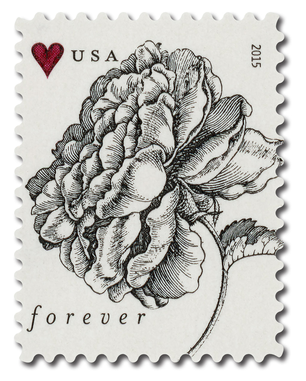 2015 USPS SHEET OF 20 FIRST CLASS LETTER STAMPS VINTAGE ROSE 78¢