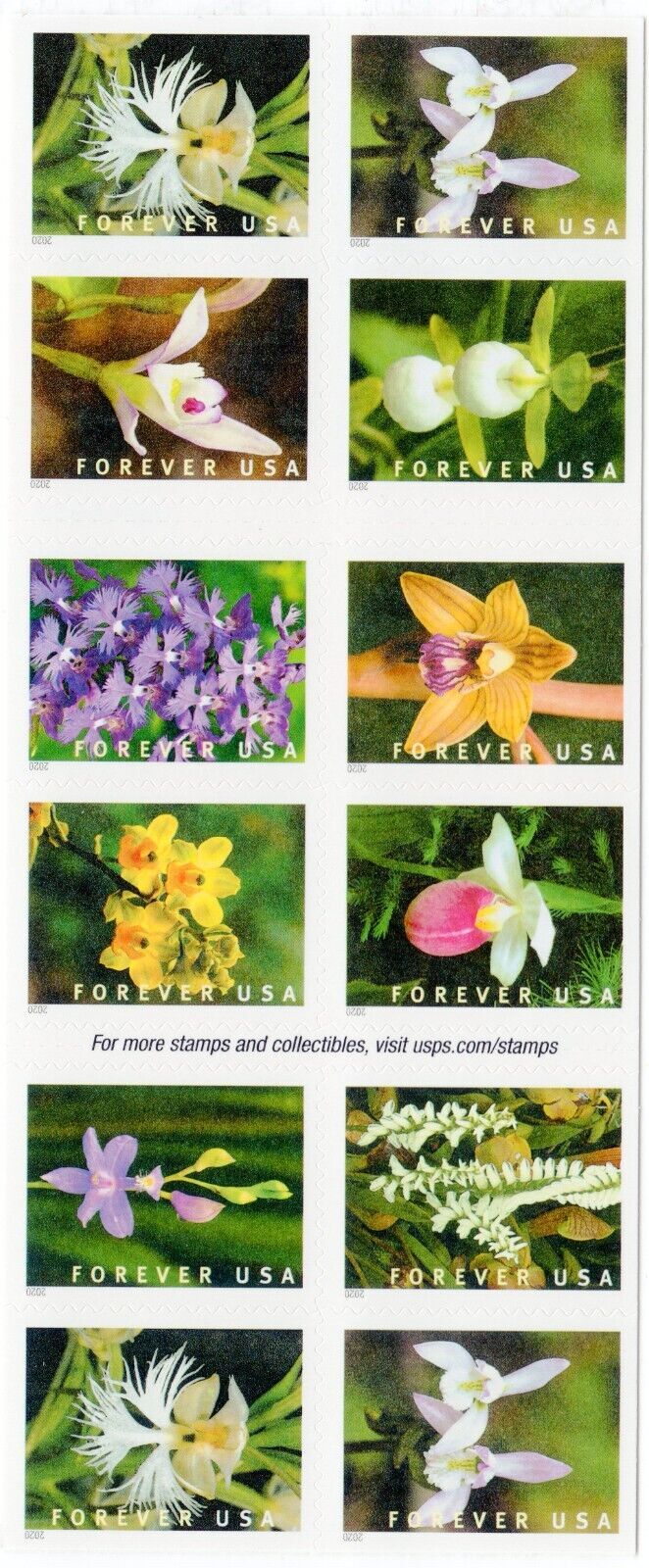 2020 USPS SHEET OF 20 FIRST CLASS LETTER STAMPS WILD ORCHIDS 78¢