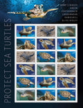2024 USPS SHEET OF 18 FIRST CLASS LETTER STAMPS PROTECT SEA TURTLES 78¢