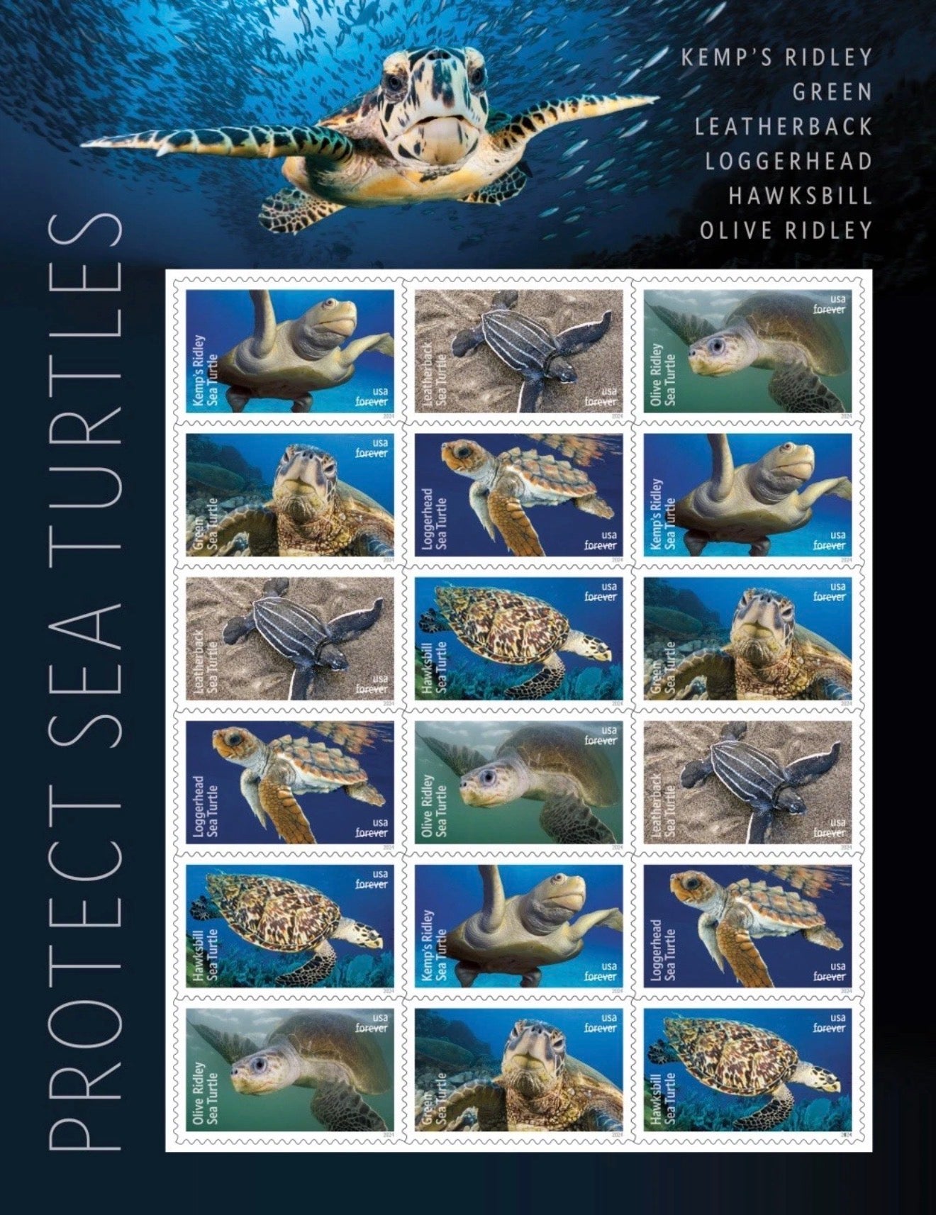 2024 USPS SHEET OF 18 FIRST CLASS LETTER STAMPS PROTECT SEA TURTLES 78¢