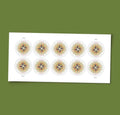 2025 USPS SHEET OF 10 GLOBAL STAMPS- 1794 COMPASS ROSE 1.70¢