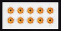2022 USPS SHEET OF 10 GLOBAL STAMPS- AFRICAN DAISY 1.70¢